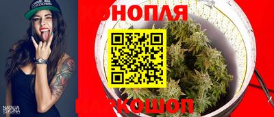 прущие грибы Нальчик