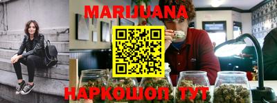 прущие грибы Нальчик