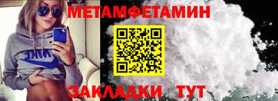 прущие грибы Нальчик